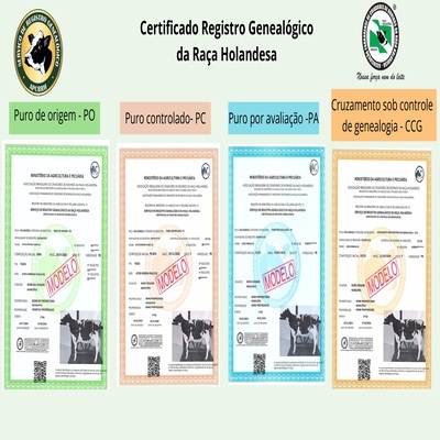 REGISTRE O PEDIGREE COM FACILIDADE